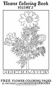Flower coloring pages give you a special occasion to play with flower colouring pages for adults, kids, kindergarten, and preschool.flowers are a gift given to us by nature. Pin On Color Pages