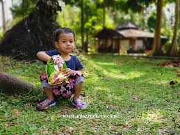 Taman yang seluas 817 hektar ini menempatkan beberapa tarikan dan aktiviti buat pengunjung yang datang ke taman botani shah alam. Cuti Raya Cina Jalan Jalan Di Taman Botani Shah Alam Ceritera Si Gadis Biru