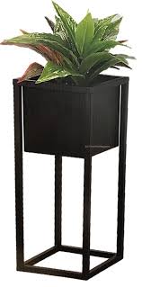 Display and benches, cart and equipment, landscape design software, online sale products for nurseries, home garden centers, greenhouses, gardening equipment, furniture shops for flowers and plants, design software gardens and green areas, 20210716 Raised Indoor Plant Pot On A Stand Black Metal Flower Pot Tall Square Pot Koop Indoor Plant Pots Metal Flower Pots Indoor Plants