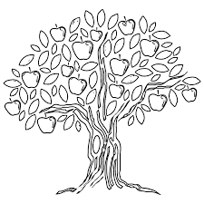 Apple Tree Coloring Page Wecoloring Tree Coloring Page Apple Tree Drawing Apple Tree