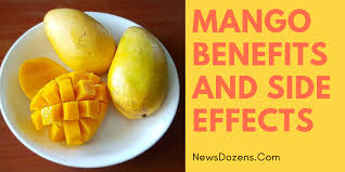 Jun 22, 2021 · african mango (irvingia gabonensis) is a tree native to tropical west african forests.it's also known as bush mango, wild mango, and dika nut. The Important Benefits And The Side Effects Of Mango On Our Health Newsdozens
