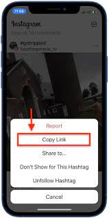 Aplikasi download video instagram iphone. How To Download Instagram Videos On Iphone Instadownloader