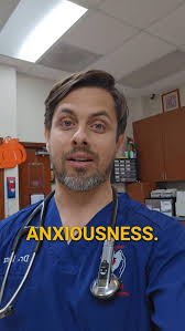 🎥 Is your dog nervous or anxious? Here’s how to help! Understanding your  dog’s personality is key to keeping them and others safe , 🐾 Dr. Lera  shares tips