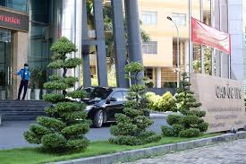 Theo klđt, phạm nhật vinh đã có hành vi cùng với các thành viên hđqt công ty cp phát triển nam sài gòn theo klđt, pc03 đã tổ chức thi hành các quyết định và lệnh đối với phạm nhật vinh. L7 Bv 65pn63xm