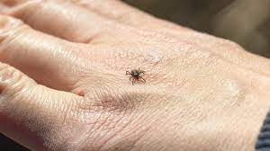 From countries which implement surveillance for tbe , surveillance data were requested for Atbara Tbe Vaccin Kan Bli Verklighet Doktorn Com