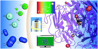 Maybe you would like to learn more about one of these? Inhibition In Multicopper Oxidases A Critical Review Catalysis Science Technology Rsc Publishing
