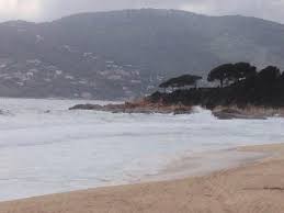 Petite pluie de mai fait plaisir à tout le monde. Un Rayon De Soleil Au Milieu De La Grisaille Corse Du Mois De Mai 2016 Picture Of Restaurant Le Santana Sagone Tripadvisor