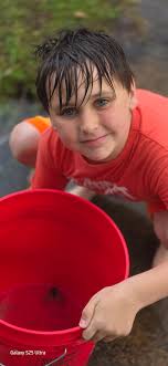 Which phone has better photo quality for concerts and family trips, Galaxy  S25 Ultra or Google Pixel 9?