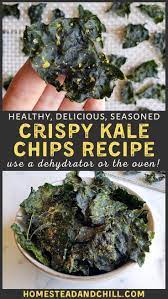 Homemade Seasoned Crispy Kale Chips Recipe Food Dehydrator Or Oven Baked Homestead And Chill Recipe Kale Chip Recipes Kale Chips Recipes