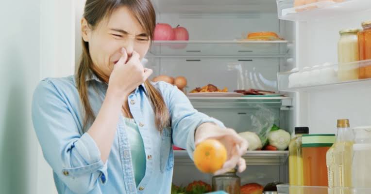 أبرز علامات فساد الطعام التي تخبرك أن الوقت قد حان للتخلص منه