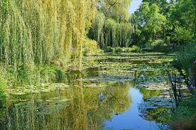 Su bello jardín florido y la charca del lirio de agua inspiraron a menudo al artista. File Le Jardin D Eau De Claude Monet Giverny 48743477716 Jpg Wikimedia Commons