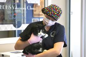 Houston humane society animal wellness clinic & low cost spay/neuter clinic. Low Cost Spay And Neuter Clinic Reopens To Cats Only Tbnewswatch Com