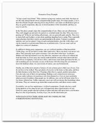 Grammar And Spelling How To Start An Analysis Paper Example Can Someone Write My Essay For Me Sample Of A Mla Paper Essay N Writing College Essays For Dumm