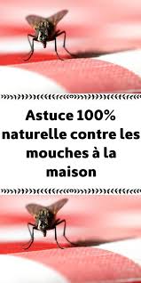 Astuce 100 Naturelle Contre Les Mouches A La Maison Contre Les Mouches Remede Contre Les Mouches Astuces Contre Les Mouches