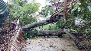Prognosis analysis on soil erosion helps the user agencies/decision makers to design proper conservation planning program to reduce soil erosion. Residents In Bangsar Neighbourhood Worry About Landslides Due To Soil Erosion Malaysia Malay Mail