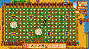 They can be grown during the spring and take 12 days to mature. My First Giant Cauliflowers Stardewvalley