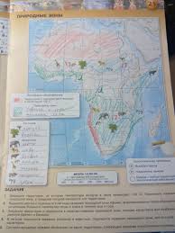 гдз по контурной карте 5 класс история древнего мира дрофа Konturnye Karty Po Geografii 5 Klass Drofa Reshebnik Rumyancev Prakard
