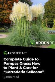 Complete Guide To Pampas Grass How To Plant Care For Cortaderia Selloana Pampas Grass Landscape Cortaderia Pampas Grass Care