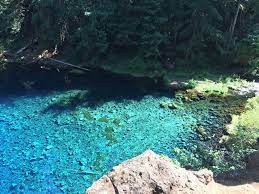 We did not find results for: Oregon Tamolitch Blue Pool Via Mckenzie River Trail Is A 3 7 Mile Moderately Trafficked Out And Back Trail Located Oregon Travel Oregon Hikes Blue Pool Oregon