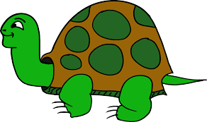 Turtle cartoon transparent images (2,159). Cartoon Turtle Drawing Free Image Download
