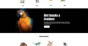 Pet Shop Animals Bright Shopify Theme Animals Shop Pet Theme Shopify Pet Shop Shopify Theme Website Design