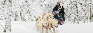 Apprivoisez les chiens de traîneaux en savoie à la faveur d'une randonnée accompagné chiens de traineaux venez découvrir les plaisirs du chien de traineaux et profitez du panorama de la clusaz ! Vogesen Vogesen Frankreich Tourismus Elsass Ferien Vogesen Vogesen