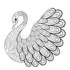 Mpc design, creator of digital scrapbooking kit, has discovered a passion for coloring pages for adults. Hand Drawing Artistic Swan For Adult Coloring Pages In Doodle Stock Vector Illustration Of Adult Beautiful 65683458