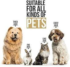 Then there are the pet expressions grooming services. Pet Grooming Clippers Pro Pet Grooming Set Suitable All Pets Pet Supplies For Small Animals Other Supplies On Carousell