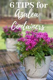 Your Porch Is A Canvas Garden Design With Azalea Containers Azaleas Container Gardening Porch Plants