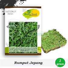 Tentang harga rumput jepang per meter persegi info detail tentang harga rumput jepang per meter 2019… jual rumput taman. Harga Rumput Jepang Terbaik Taman Perlengkapan Rumah Juli 2021 Shopee Indonesia