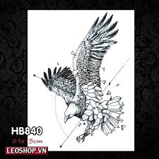 Theo phương pháp mới, người ta sẽ in các điện cực lên giấy dùng để làm hình xăm tạm thời, các điện cực này được kết. Hinh XÄƒm Dan Ä'áº¡i Bang Chim Æ°ng Cac Loáº¡i 21x15cm Shopee Viá»‡t Nam
