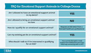 My therapist suggested it to me before i even thought of it. Emotional Support Animals In College Dorms Esa Doctors