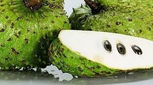 Selain tu durian belanda juga kaya dengan vitamin c yang bertindak sebagai antioksidan untuk jadi sebagai langkah persediaan kesihatan diri, aku amalkan minum jus annona iaitu menimum. Jus Durian Belanda Tidak Boleh Cegah Barah Berita Mediacorp