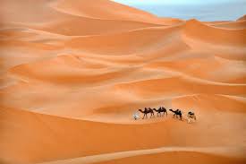 Silencio. El eco inmenso del desierto, el mismo que he guardado en mis  redes durante semanas. Un silencio que no es vacío, sino espacio para  crear, para ordenar, para dejar que lo