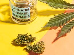 Sativa strains are generally described as being more of a head high and can help with creativity/ focus. Why There S No Difference Between Indica And Sativa Marijuana Strains