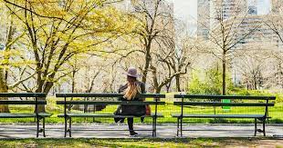 In new york city taxi and limousine commission, you cannot legally operate a taxi or for hire vehicle in nyc. The Ultimate Guide To Tlc Insurance For New York Drivers Inshur Professional Motor Insurance