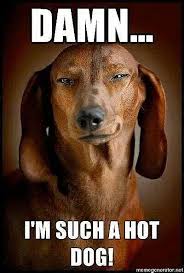 Weiner Dog Memes