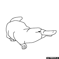 You can print or color them online at getdrawings.com for absolutely free. Baby Animals Online Coloring Pages