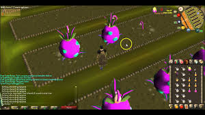 The tangleroot is a skilling pet that can be obtained when checking the health and harvesting the final crops of any fully grown farming patch. Rs 07 Farming Minigame Guide 90k Farm Xp Hr Tithe Farm Youtube