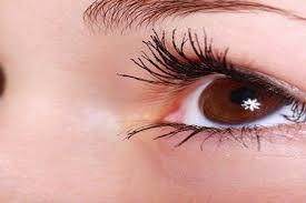 Bagi anda yang mengidamkan bulu mata tebal dan lentik, pulchra oilash lash & brow natural serum bisa menjadi serum multifungsi untuk anda. 5 Cara Melentikkan Bulu Mata Tanpa Maskara Alami Dan Murah