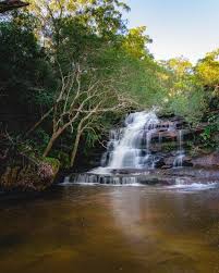 Contact the team at somersby gardens estate so we can give you a perfect garden wedding on the central coast. Insider Tips To Get The Most From Visiting Somersby Falls Walk My World