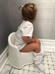 However, the responsibility that comes along it is also twice the normal. Potty Training Dr Organic Mommy