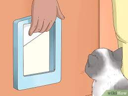 So it is not necesary to have rfid chips for example: How To Fit A Cat Flap 14 Steps With Pictures Wikihow