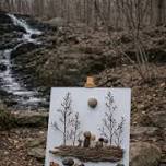 Wild Canvas-Stones & Stillness