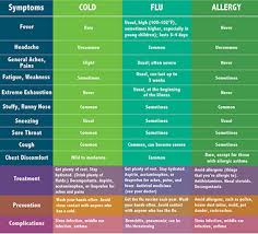 cold flu or allergy