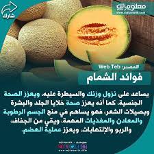 فوائد الشمام fruit food cantaloupe