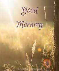 Fresh Start Good Morning Pictures Morning Pictures Latest Good Morning Images Good Morning Nature