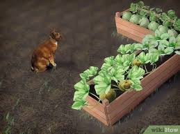 How many times have you found your dog digging up your potato hills or 4 strategies for keeping animals out of your garden. 3 Ways To Keep Animals Out Of Your Vegetable Garden Wikihow