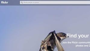 Beginning january 8, 2019, free accounts will be limited to 1,000 photos and videos. Flickr Gives Free Accounts Time To Save Images From Deletion Zee Business