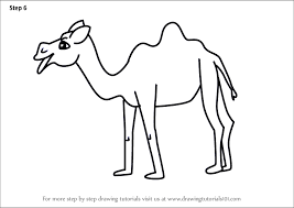 The best selection of royalty free camel draw vector art, graphics and stock illustrations. Step By Step How To Draw A Cartoon Camel Drawingtutorials101 Com